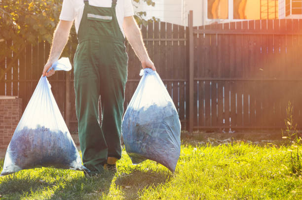 Best Junk Hauling Services  in Brinkley, AR